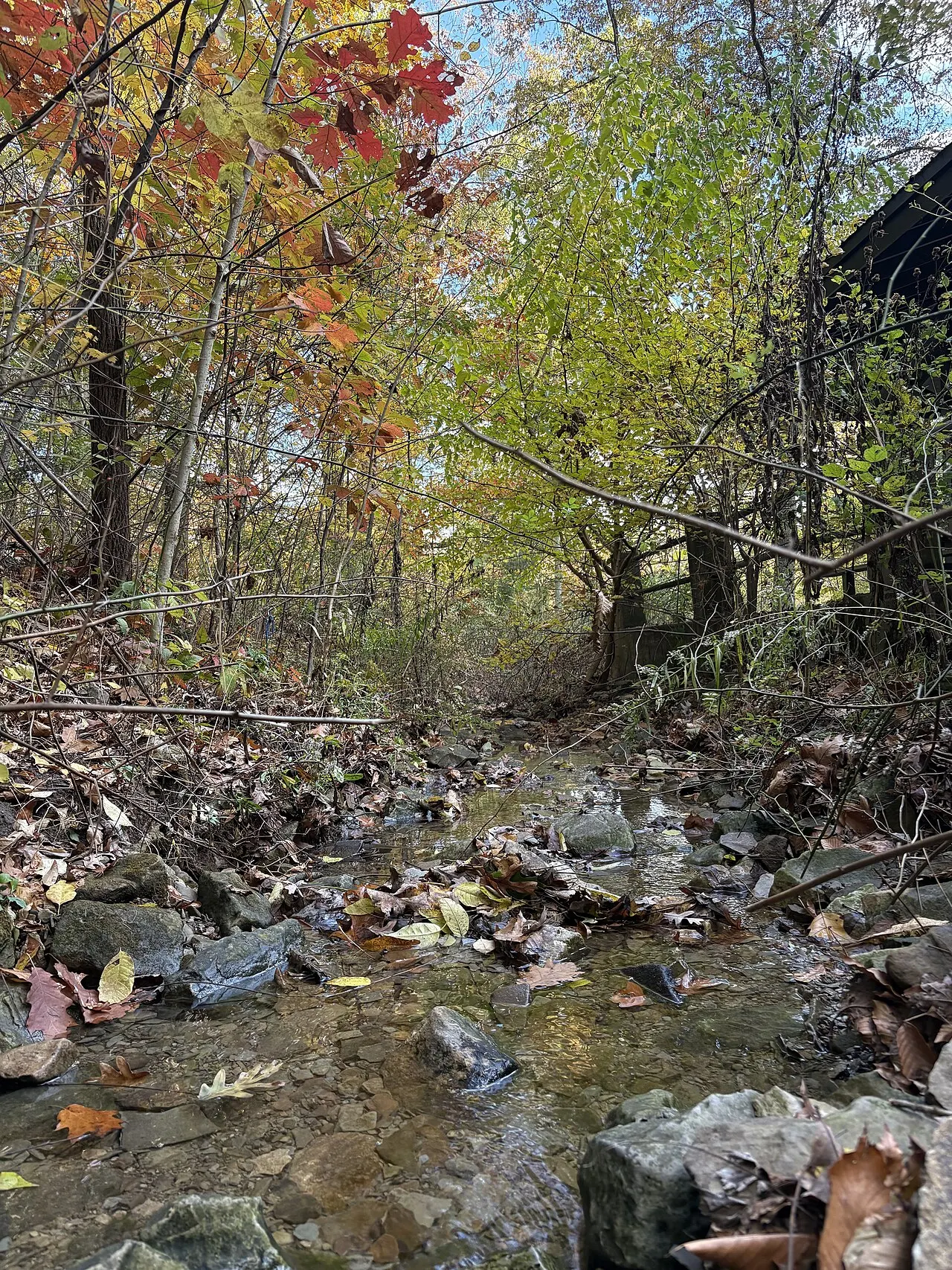 Christmas Run Park, Wooster, Ohio, United States