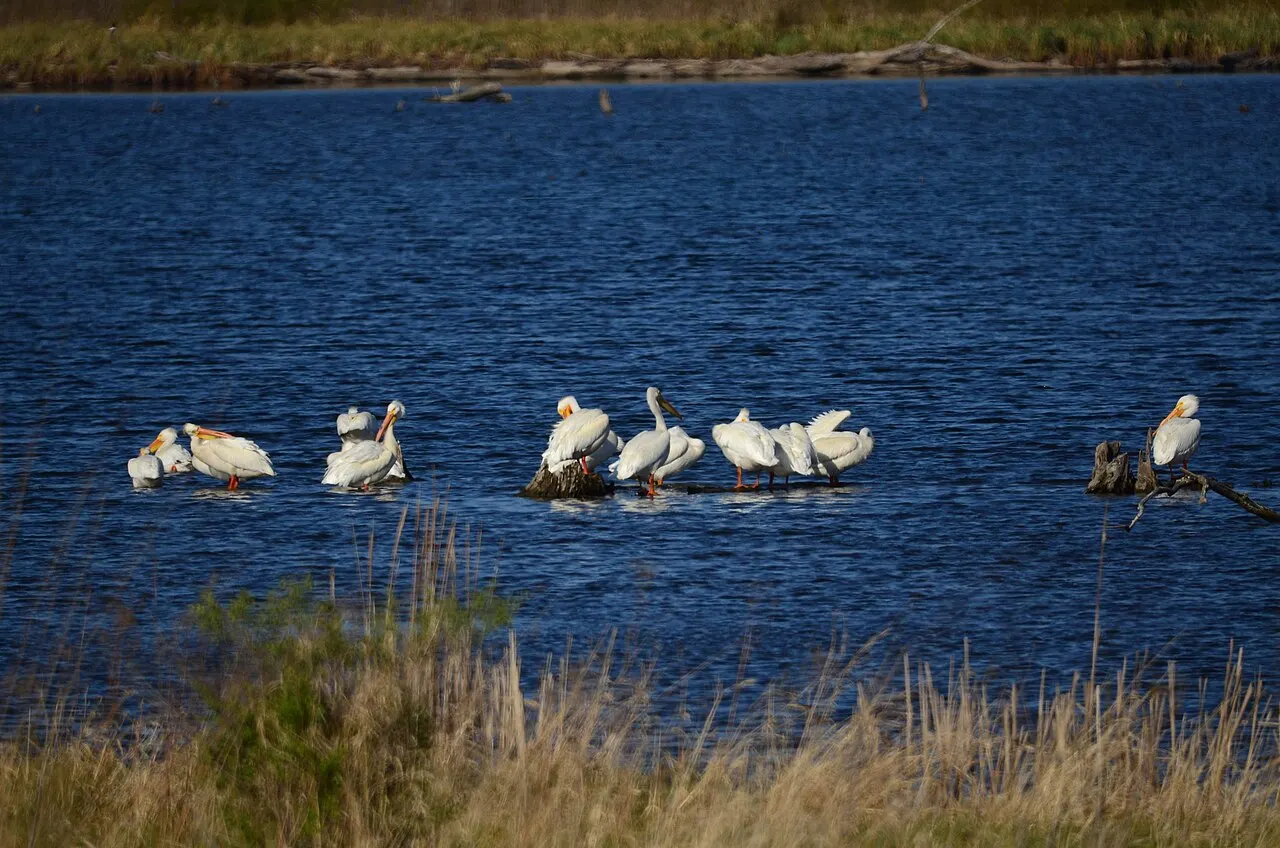 Glacial Park, McHenry, Illinois, United States