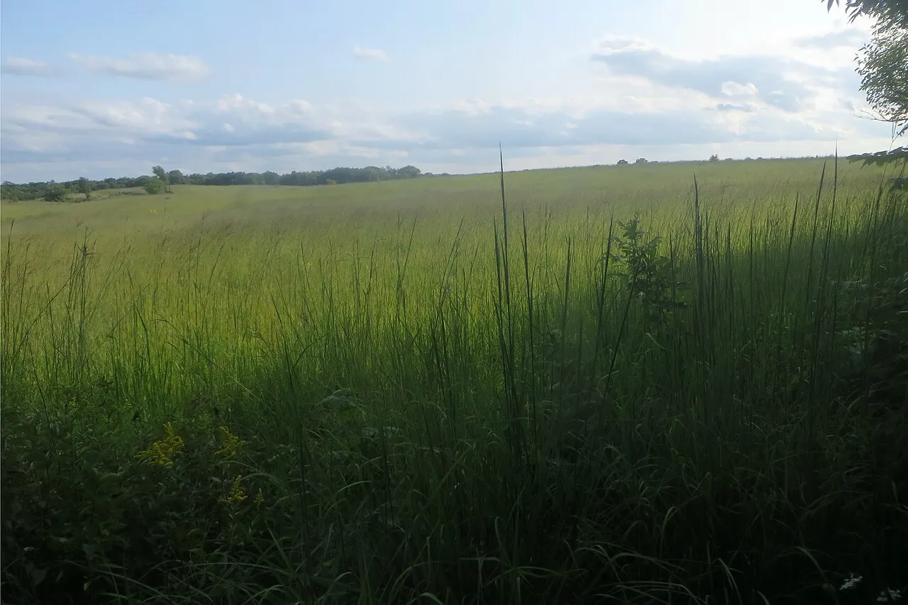 Chain O'Lakes State Park, McHenry, Illinois, United States