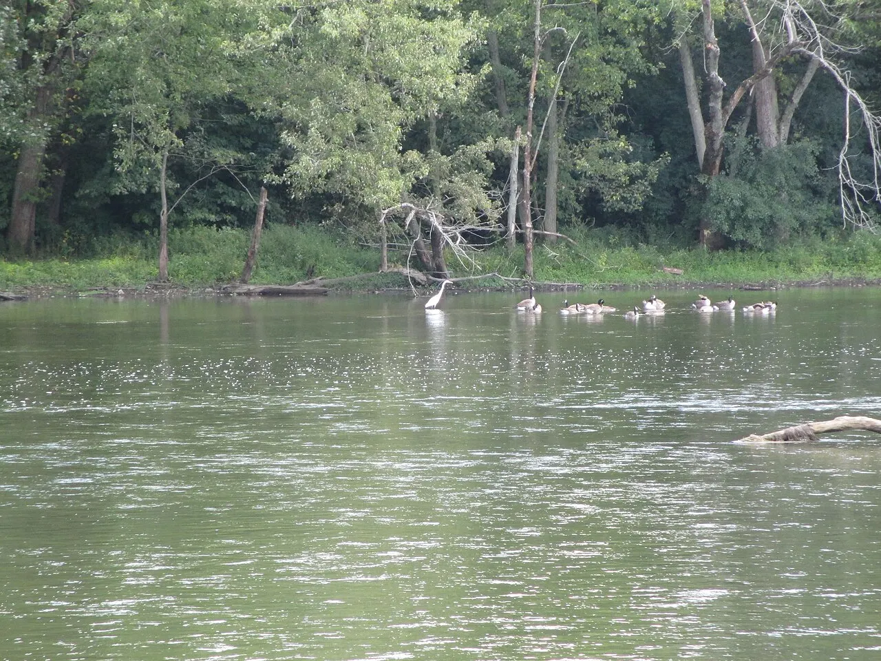 Batavia Riverwalk, Batavia, Illinois, United States