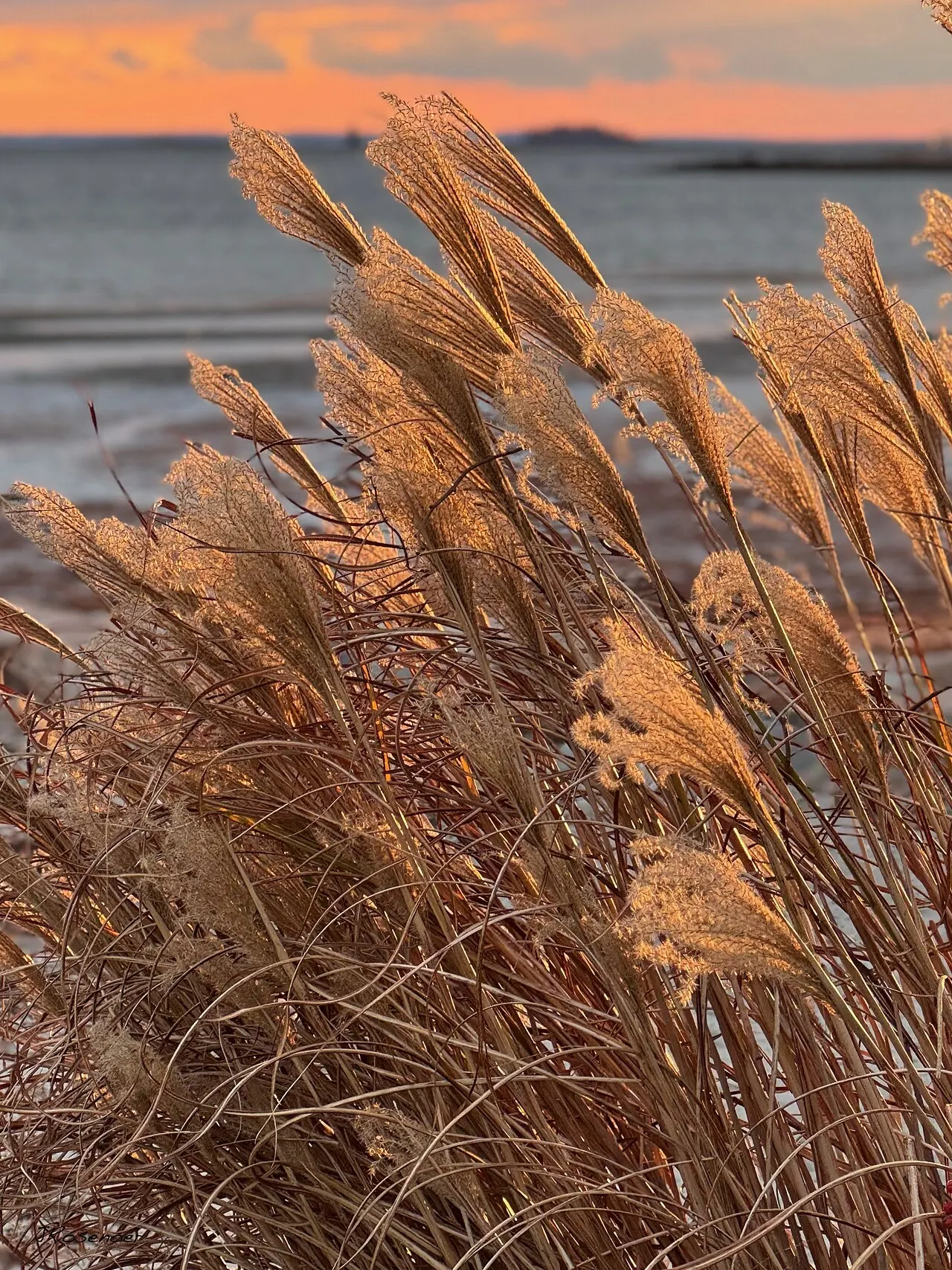 Compo Beach, Westport, Connecticut, United States