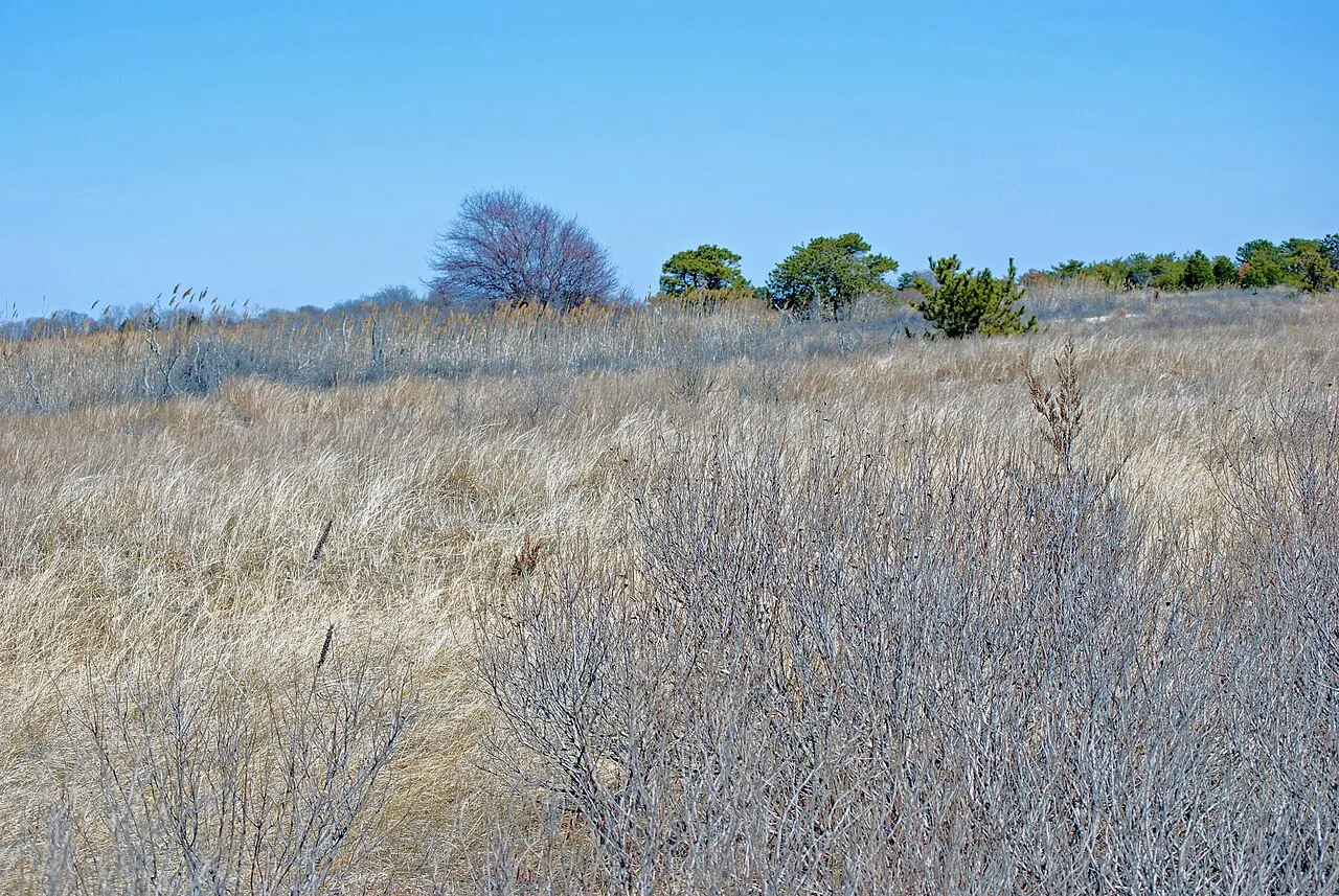 Heckscher State Park, Bay Shore, New York, United States