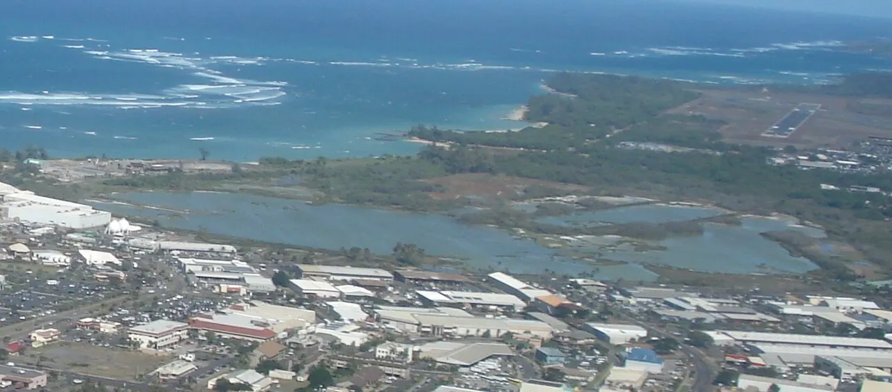 Kanaha Pond State Wildlife Sanctuary, Kahului, Hawaii, United States