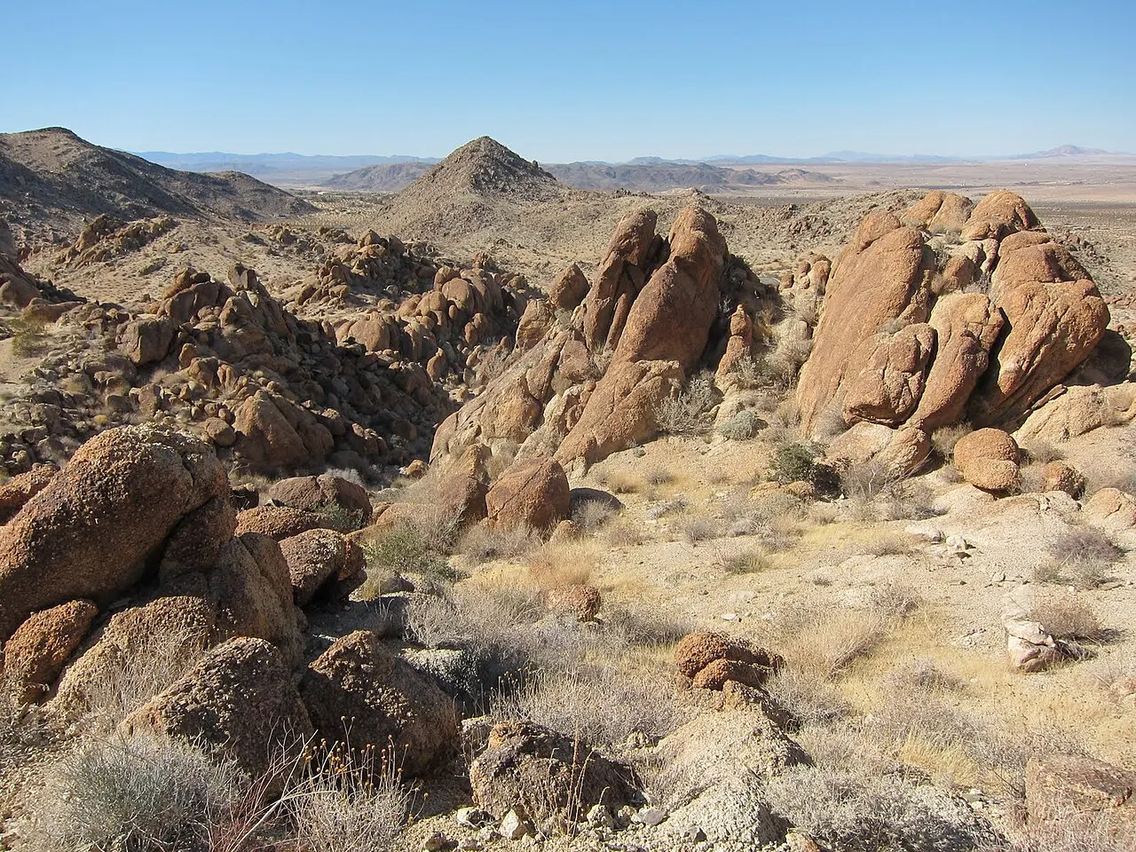 Fortynine Palms Oasis Trail, Twentynine Palms, California, United States