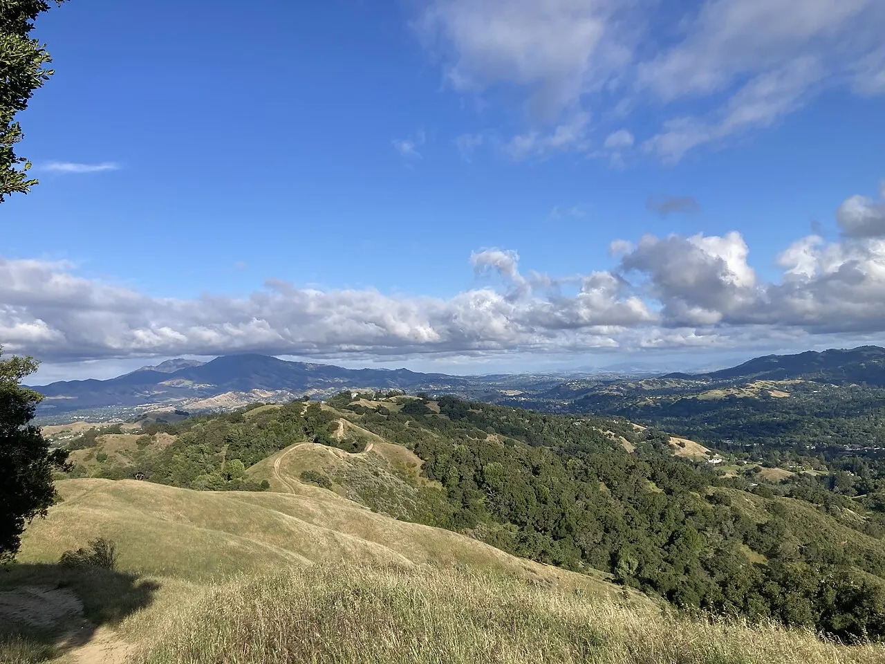 Lafayette Ridge Trail, Lafayette, California, United States