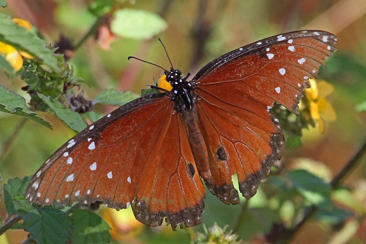 Eco Pond, Everglades National Park, Florida, United States