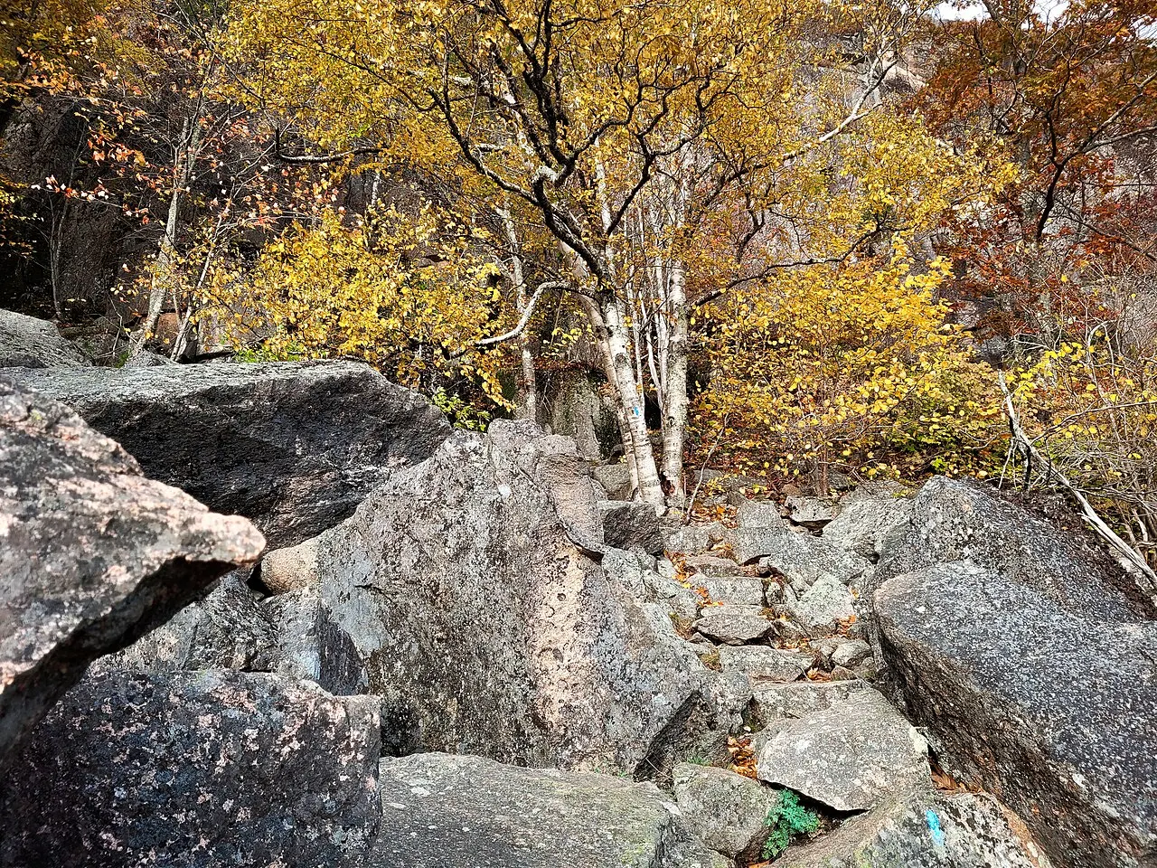 Precipice Trail, Acadia National Park, Maine, United States