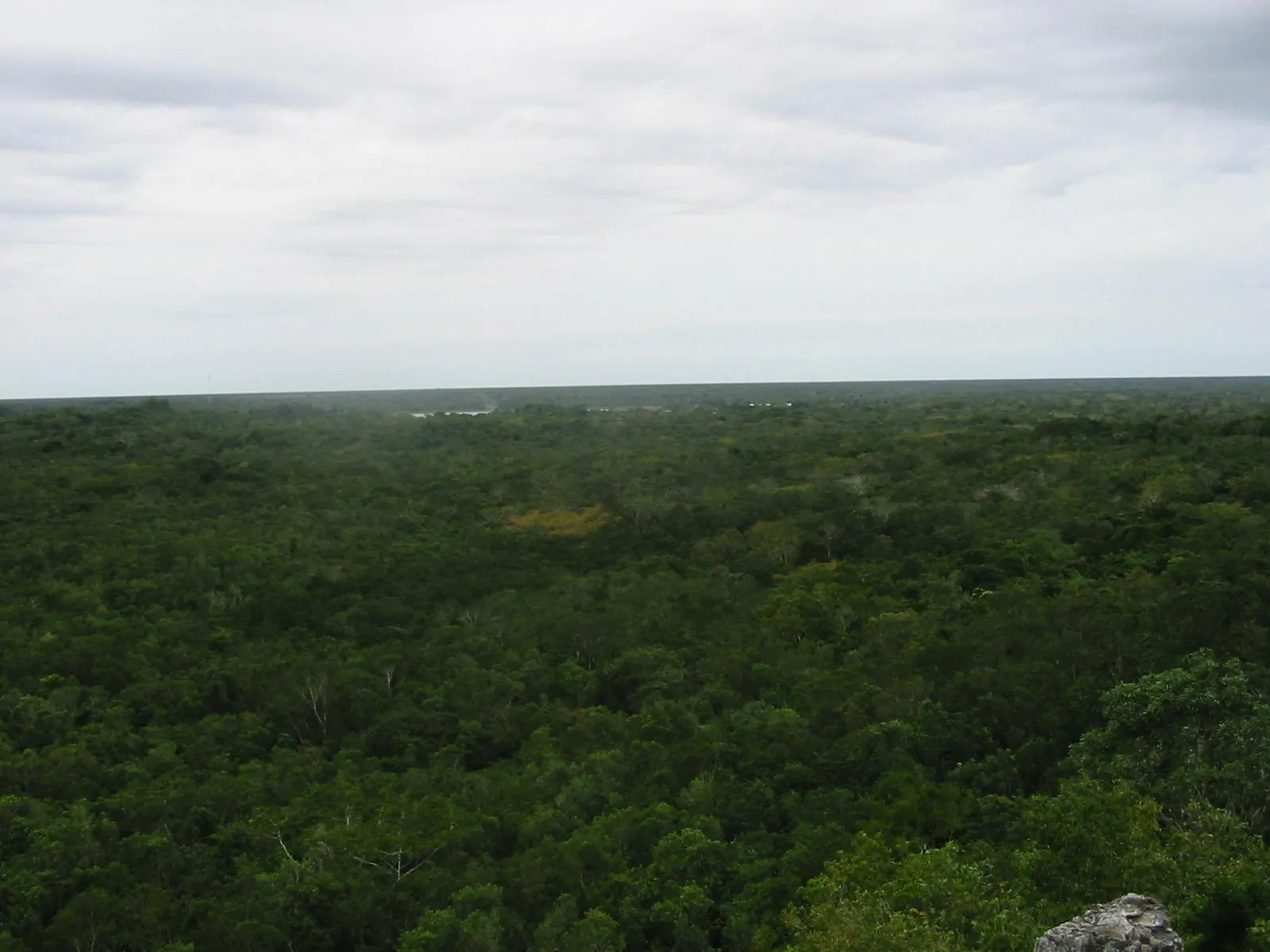 Cobá Ball Court and Stelae, Cobá, Quintana Roo, Mexico