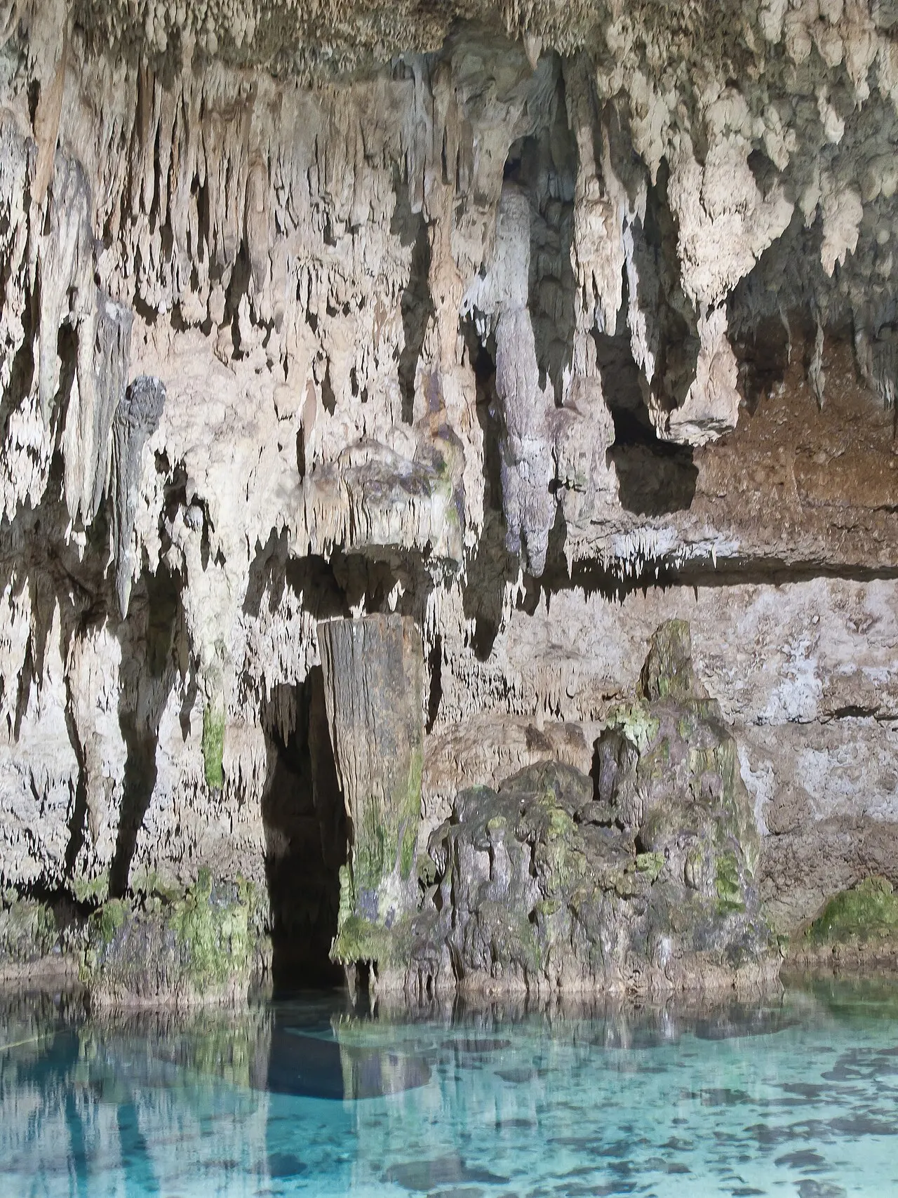 Cenote Choo-Ha, Cobá, Quintana Roo, Mexico
