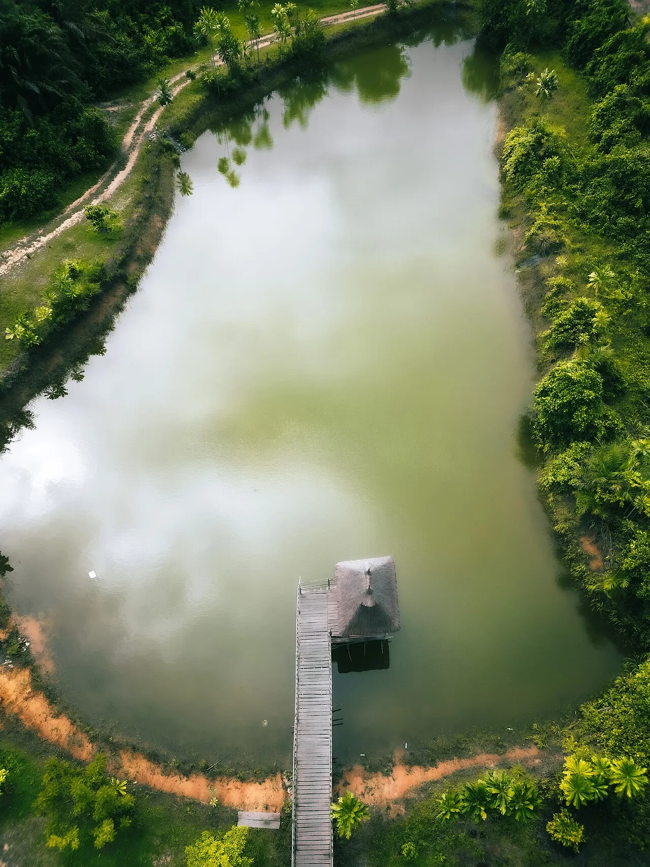 LUFASI Nature Park, Lagos, Lagos, Nigeria