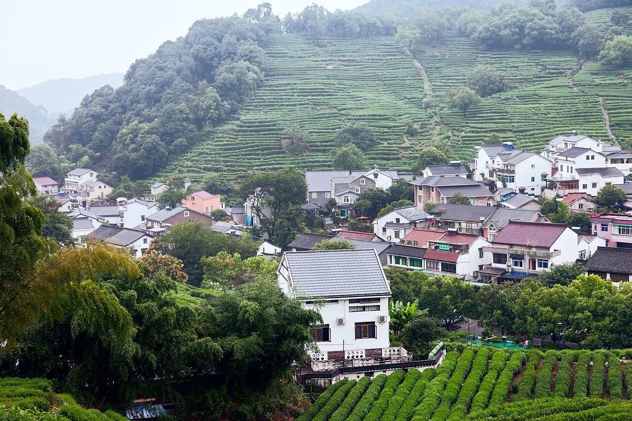 Longjing Tea Village, Hangzhou, Zhejiang, China
