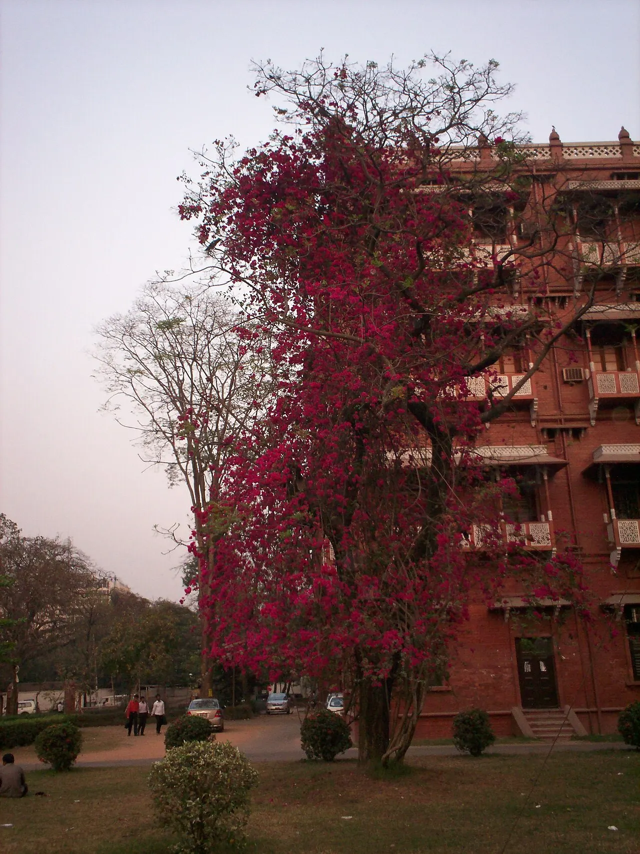 Curzon Hall, Dhaka, Dhaka Division, Bangladesh