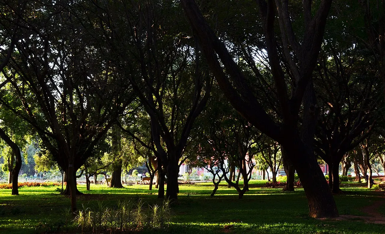 Cubbon Park, Bengaluru, Karnataka, India