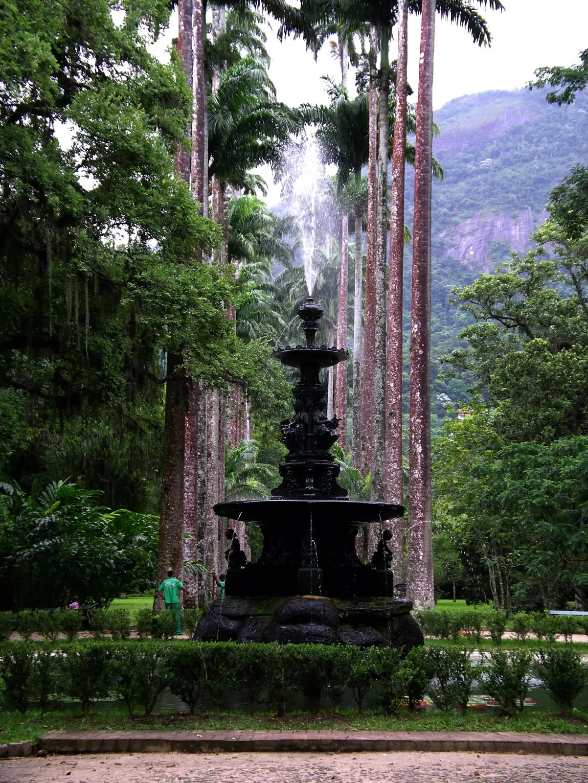 Rio de Janeiro Botanical Garden, Rio de Janeiro, Rio de Janeiro, Brazil
