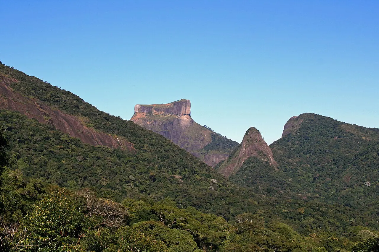 Tijuca National Forest, Rio de Janeiro, Rio de Janeiro, Brazil