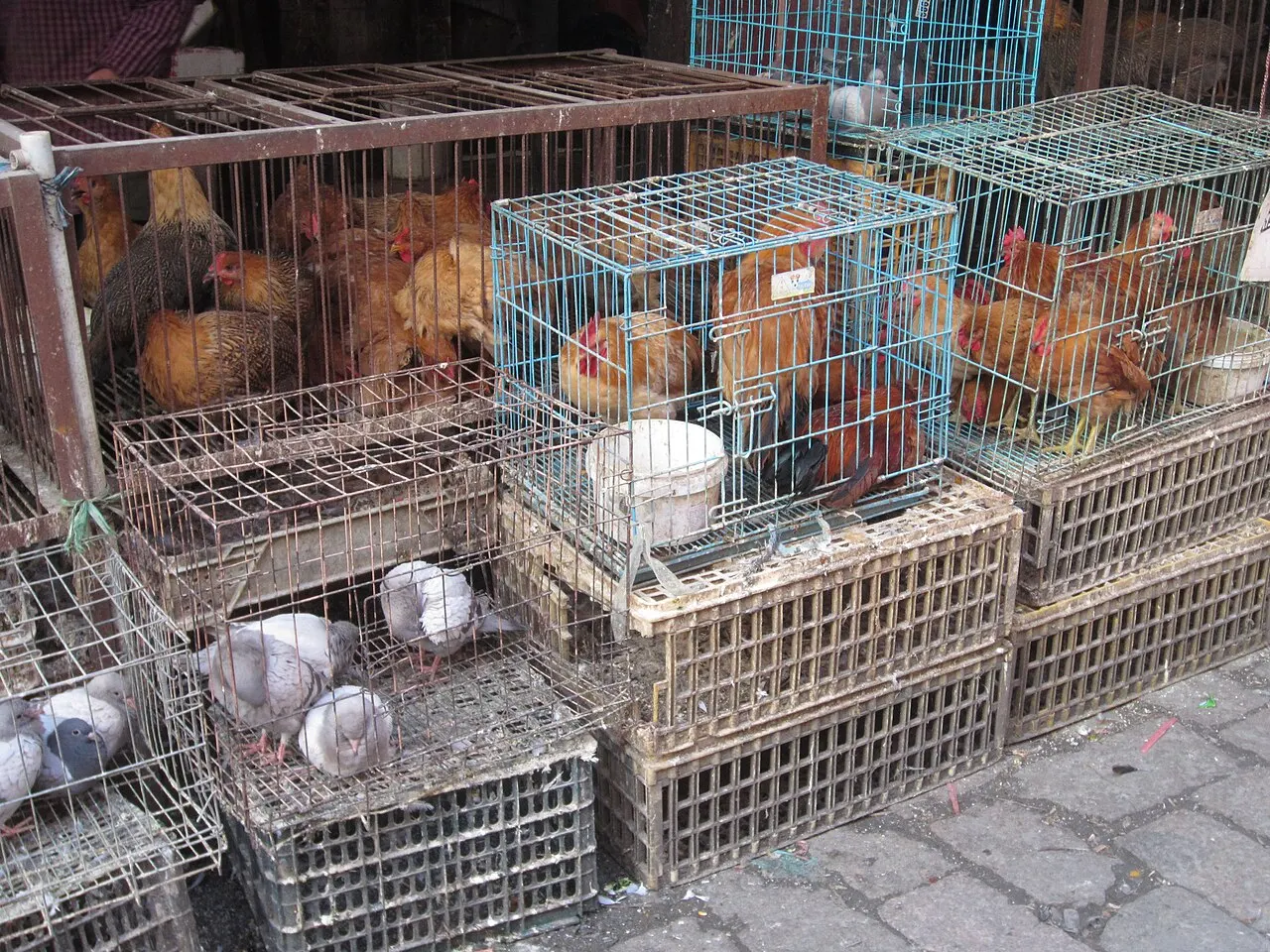 Shantang Street, Suzhou, Jiangsu, China