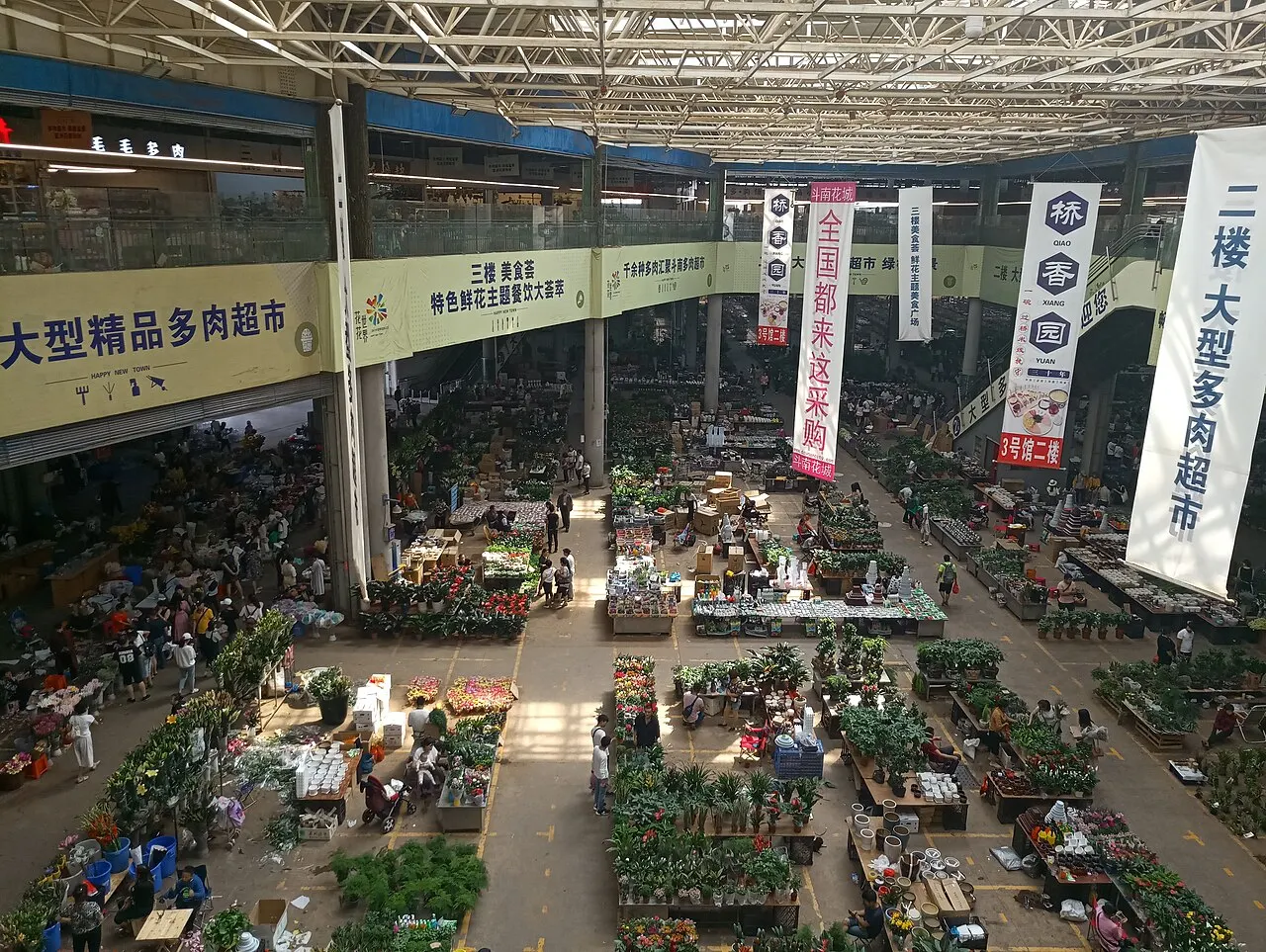 Dounan Flower Market, Kunming, Yunnan, China