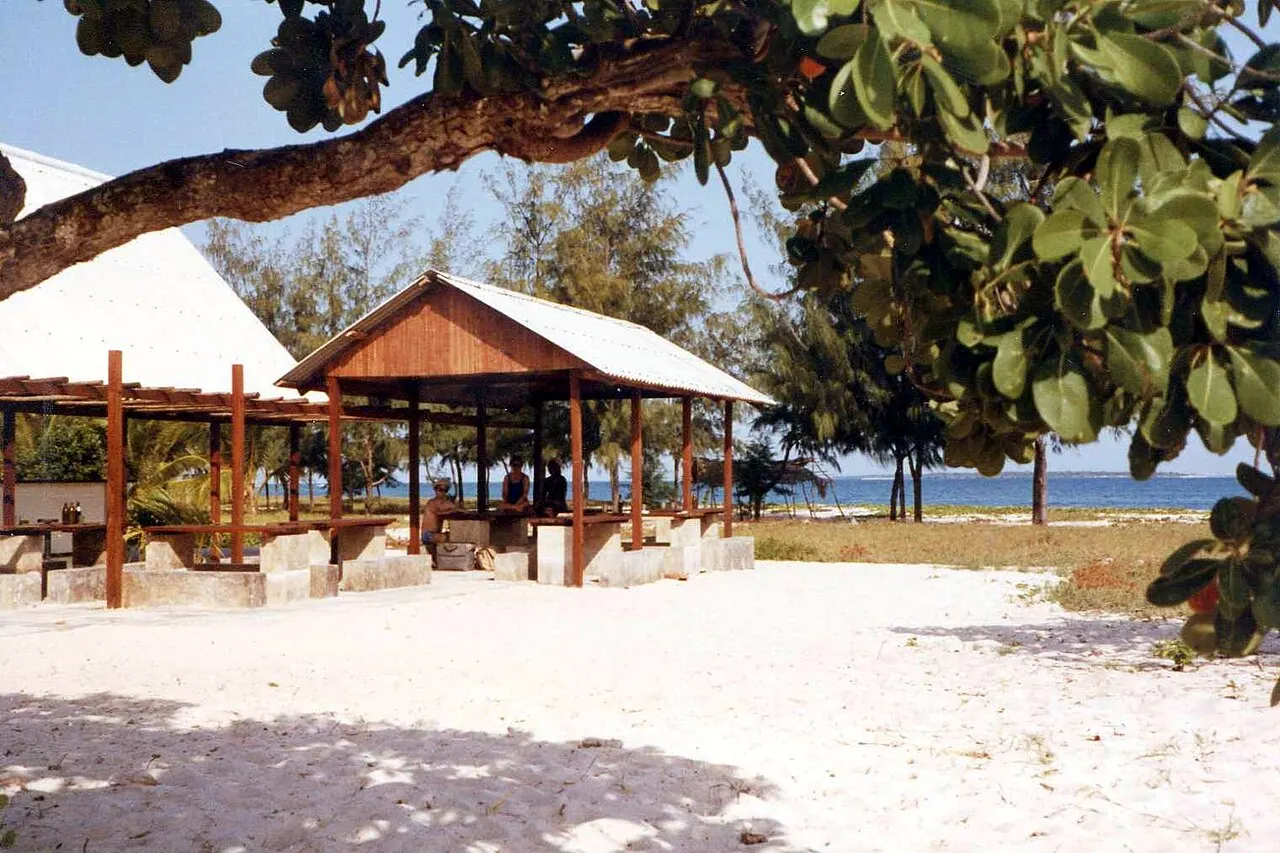 Mbudya Island, Dar es Salaam, Dar es Salaam Region, Tanzania