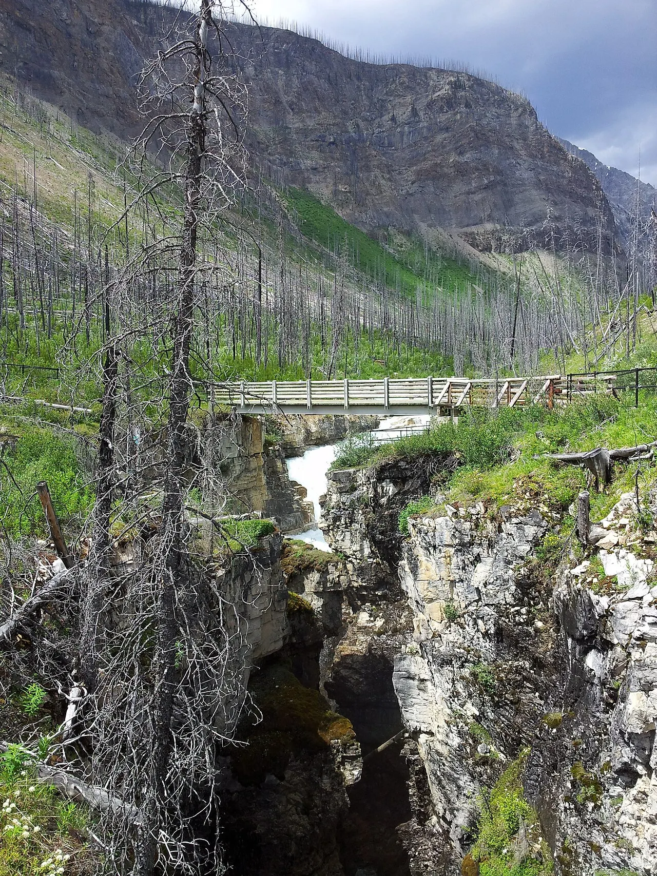Marble Canyon, Kootenay National Park, British Columbia, Canada