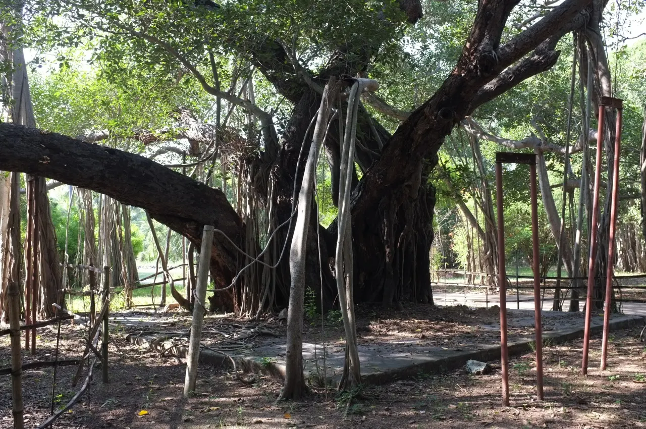 Theosophical Society Adyar, Chennai, Tamil Nadu, India