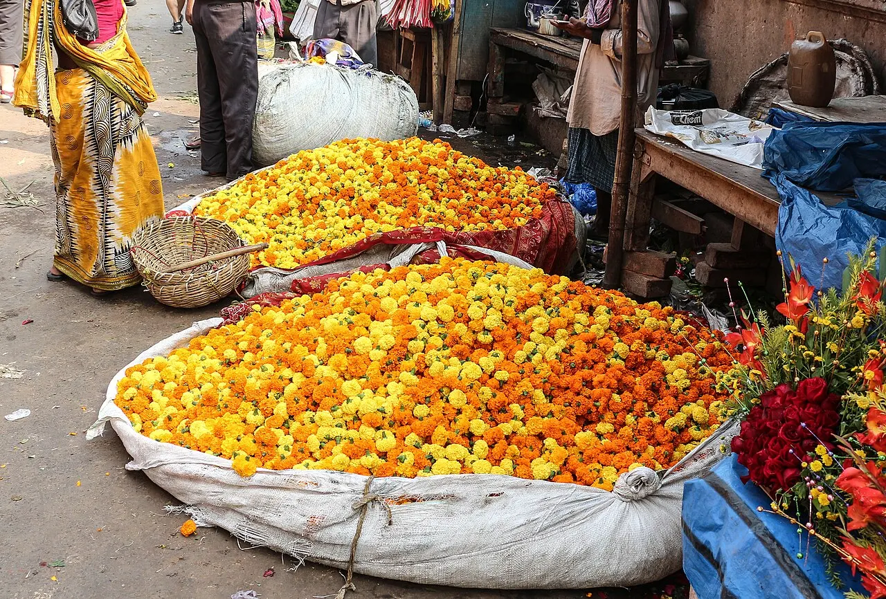 Mallick Ghat Flower Market, Kolkata, West Bengal, India
