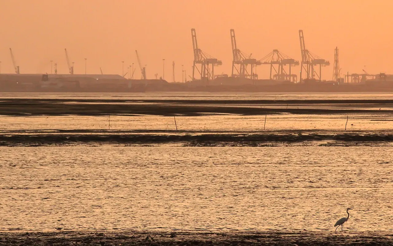 Dumas Beach, Surat, Gujarat, India