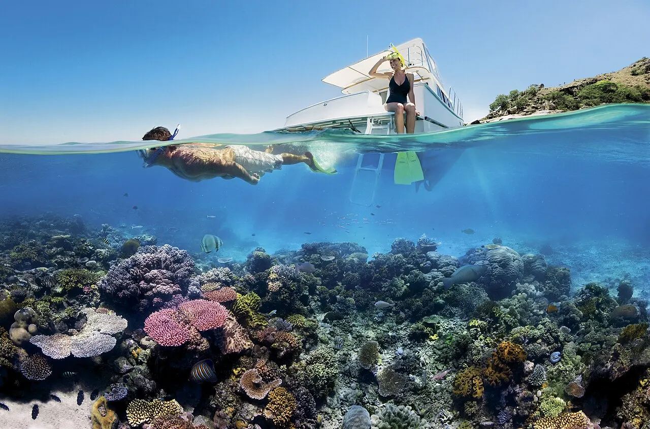 Mahahual Reef Snorkeling, Mahahual, Quintana Roo, Mexico