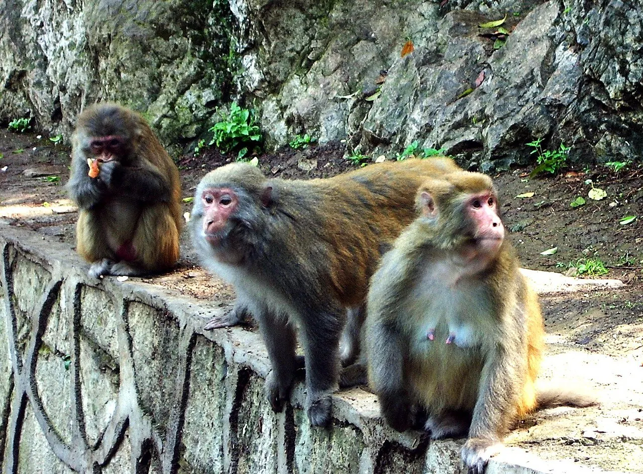 Qianling Park, Guiyang, Guizhou, China