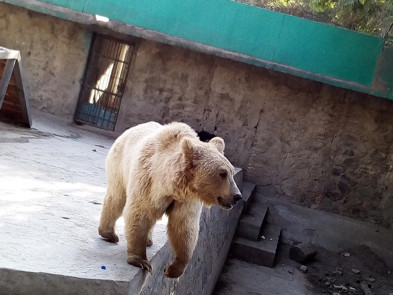 Kabul Zoo, Kabul, Kabul, Afghanistan