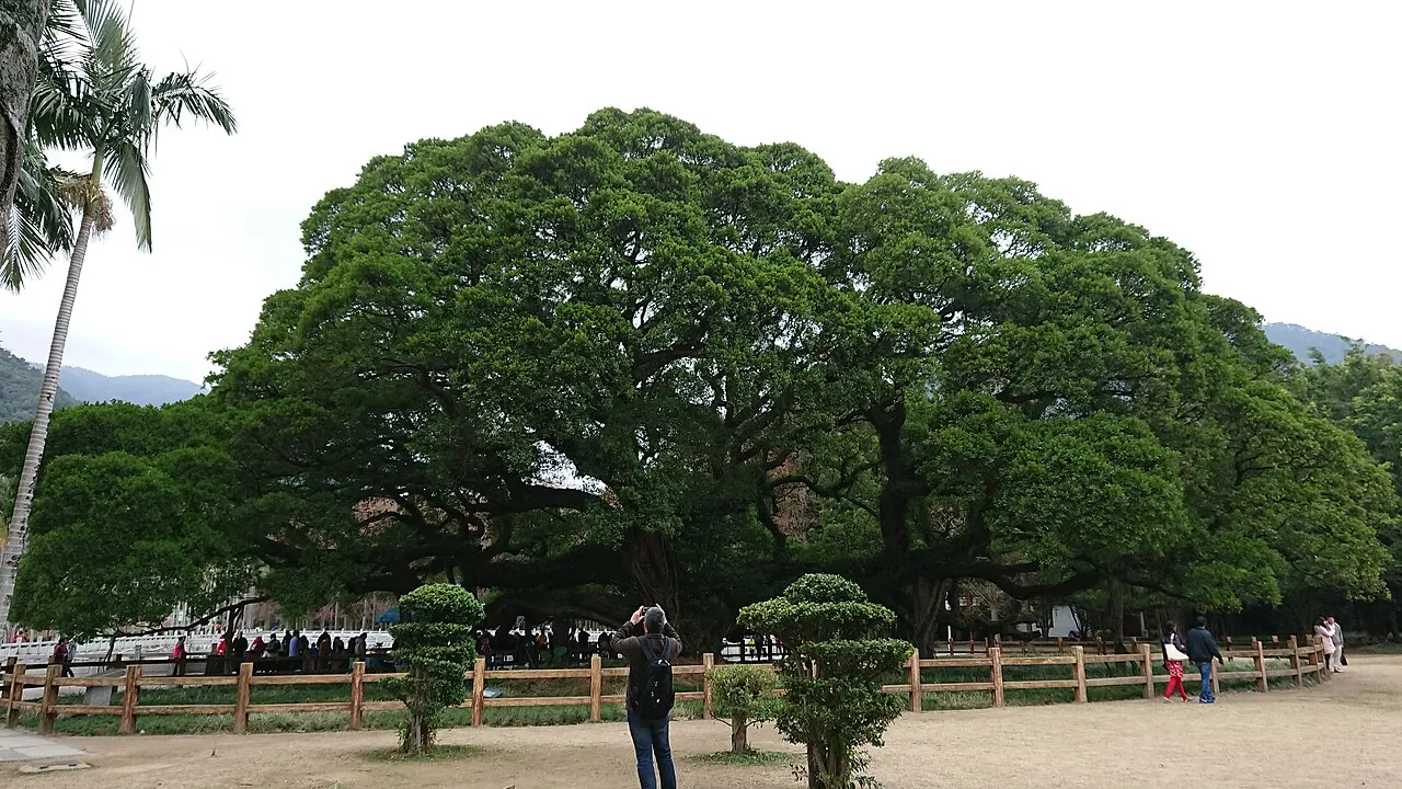 Fuzhou National Forest Park, Fuzhou, Fujian, China