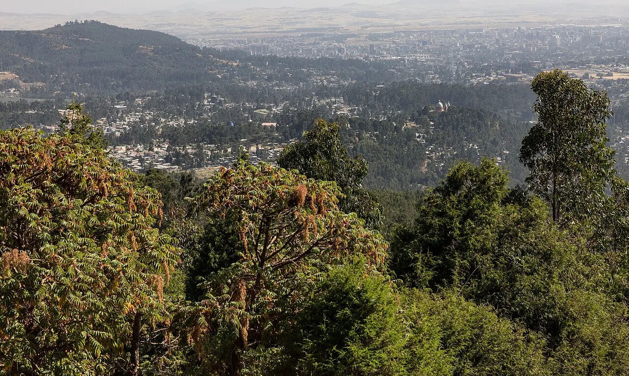 Entoto Park, Addis Ababa, Addis Ababa, Ethiopia