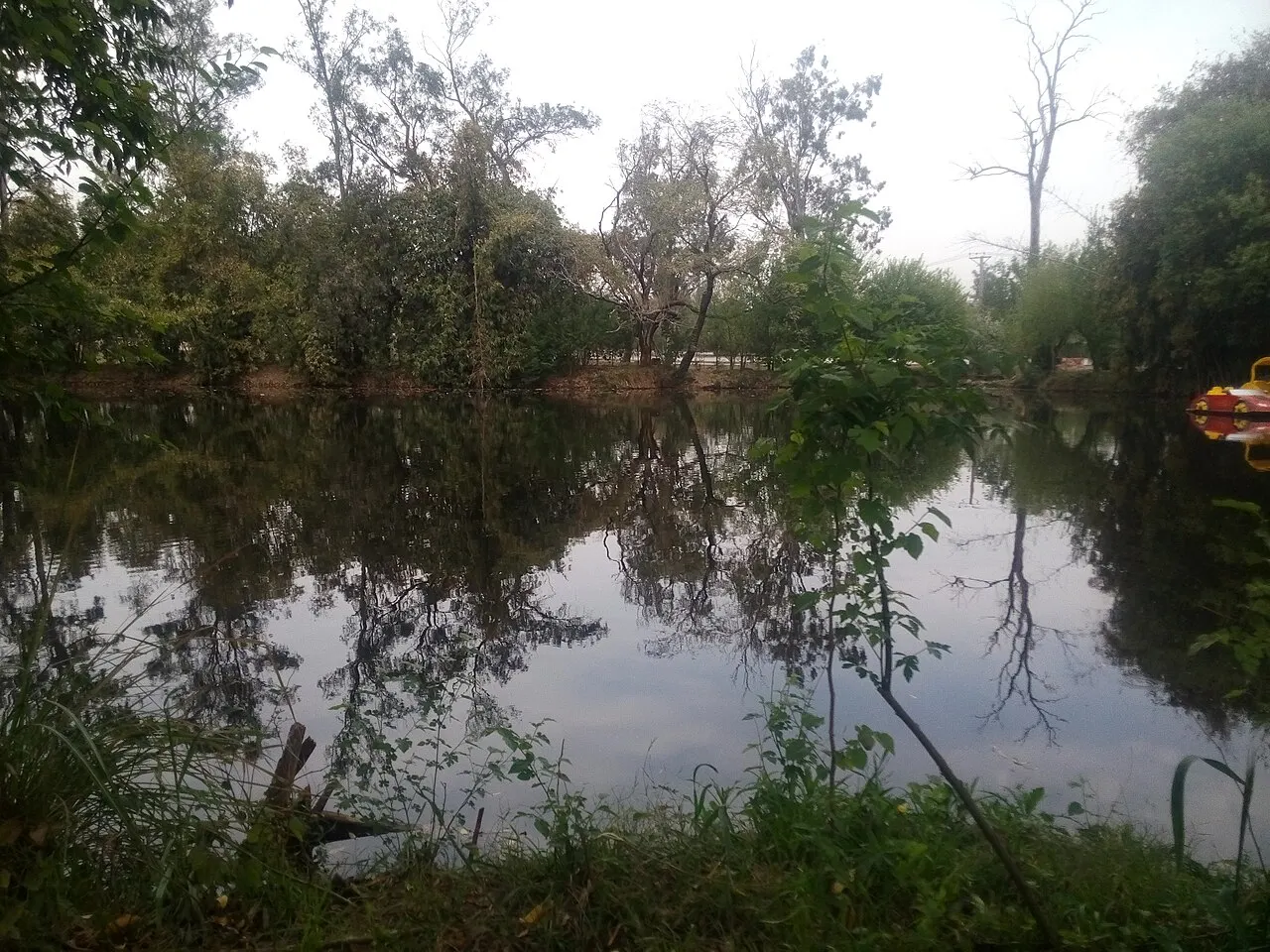Ayub National Park, Rawalpindi, Punjab, Pakistan