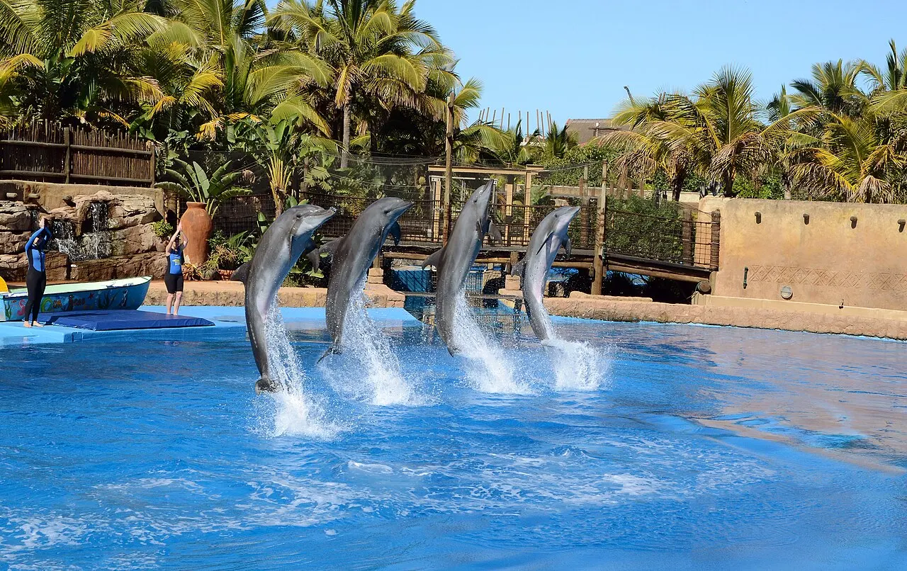 uShaka Marine World, Durban, KwaZulu-Natal, South Africa