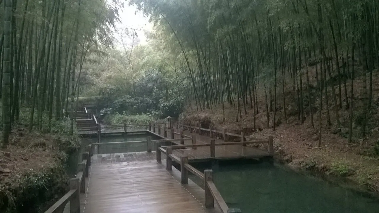 Nanshan Bamboo Sea, Changzhou, Jiangsu, China
