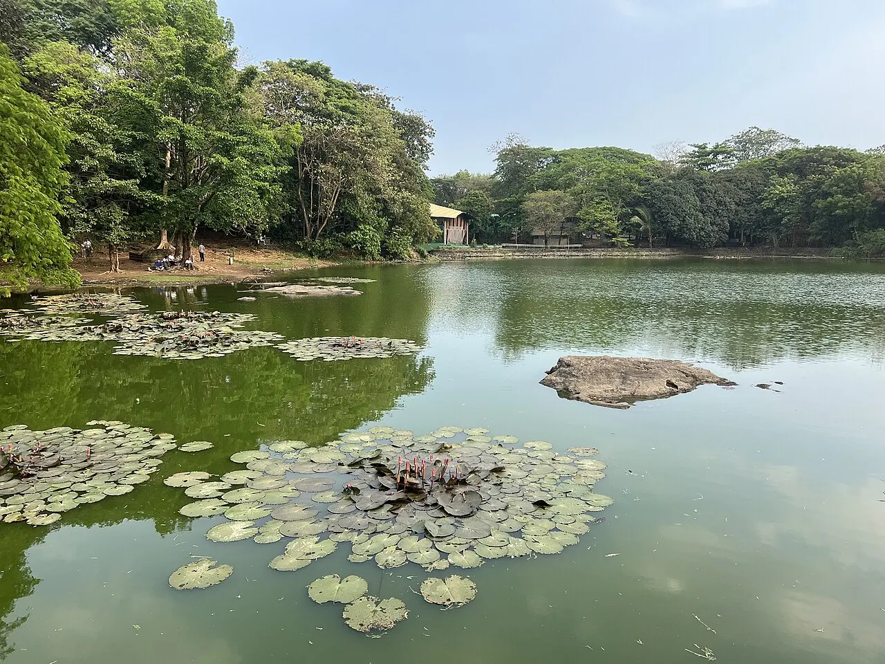 Ninoy Aquino Parks and Wildlife Center, Quezon City, National Capital Region, Philippines