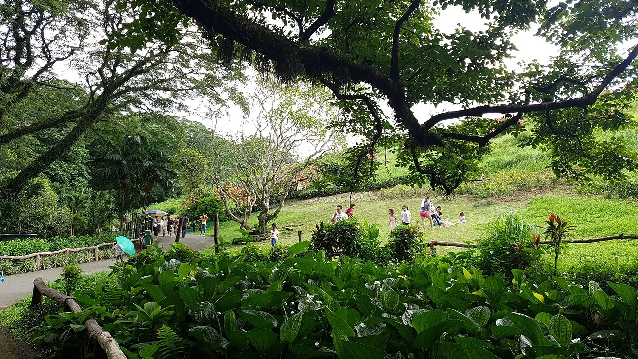 La Mesa Ecopark, Quezon City, National Capital Region, Philippines