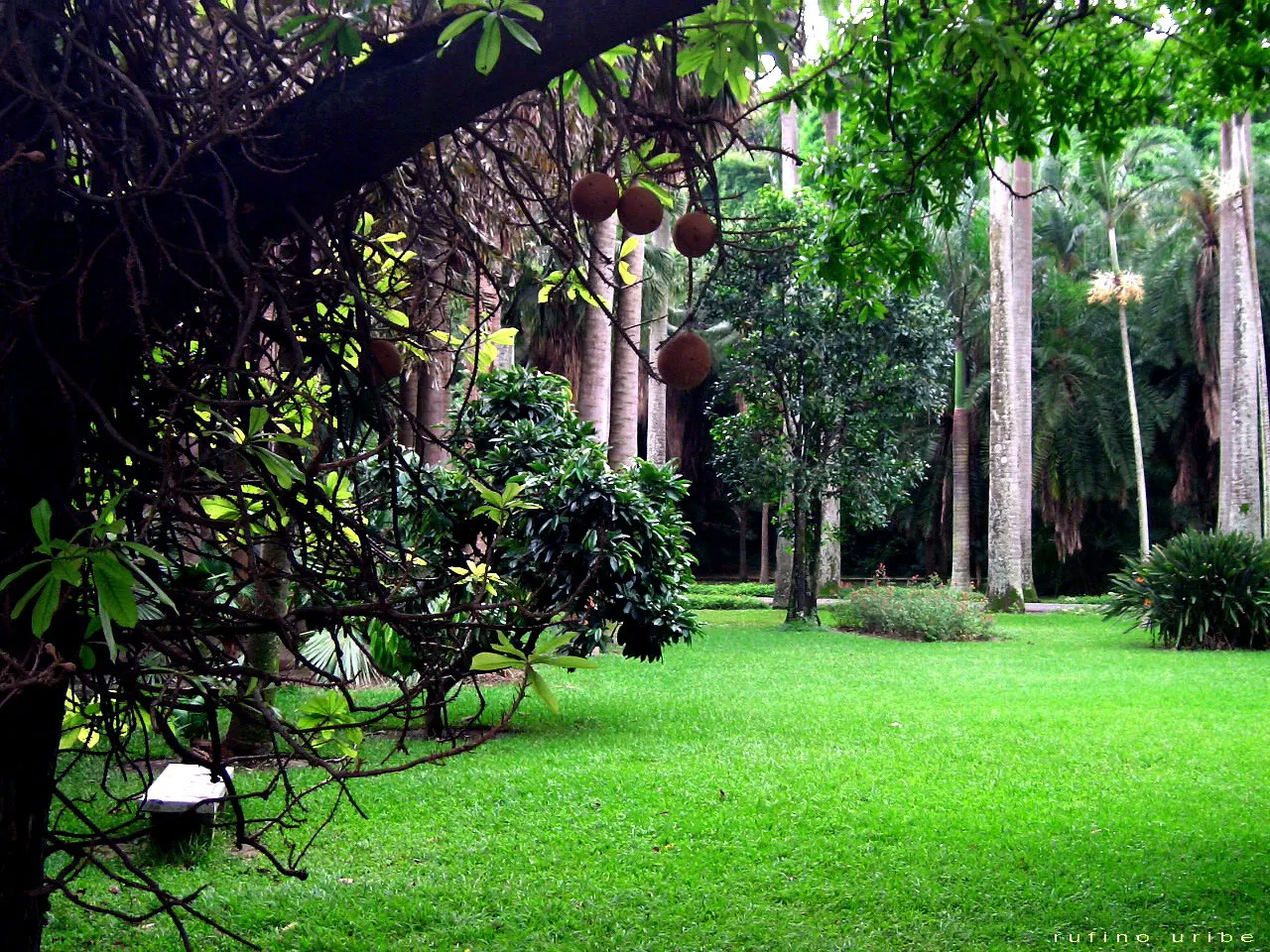 Caracas Botanical Garden, Caracas, Distrito Federal, Venezuela
