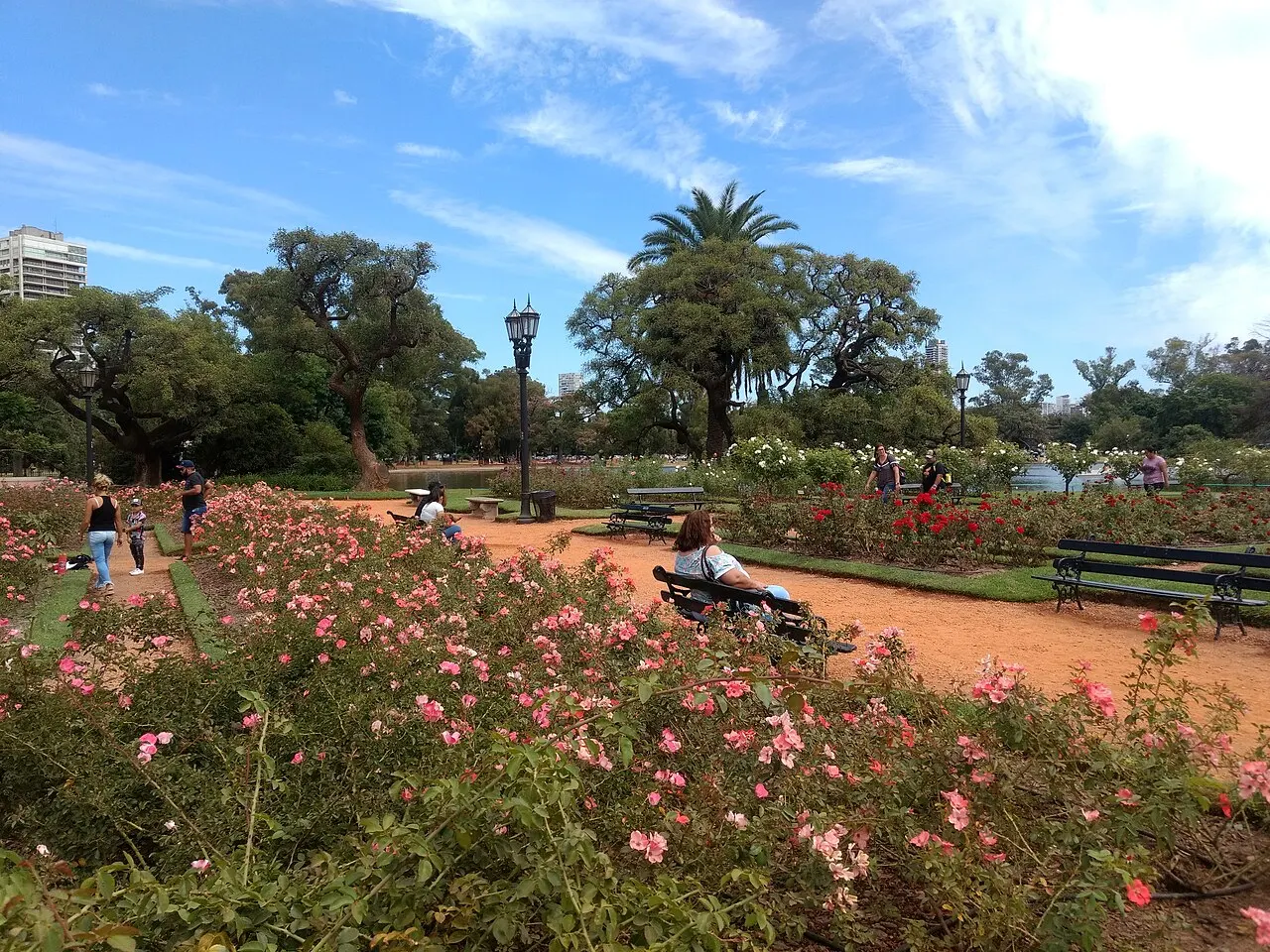 Bosques de Palermo, Buenos Aires, Buenos Aires F.D., Argentina