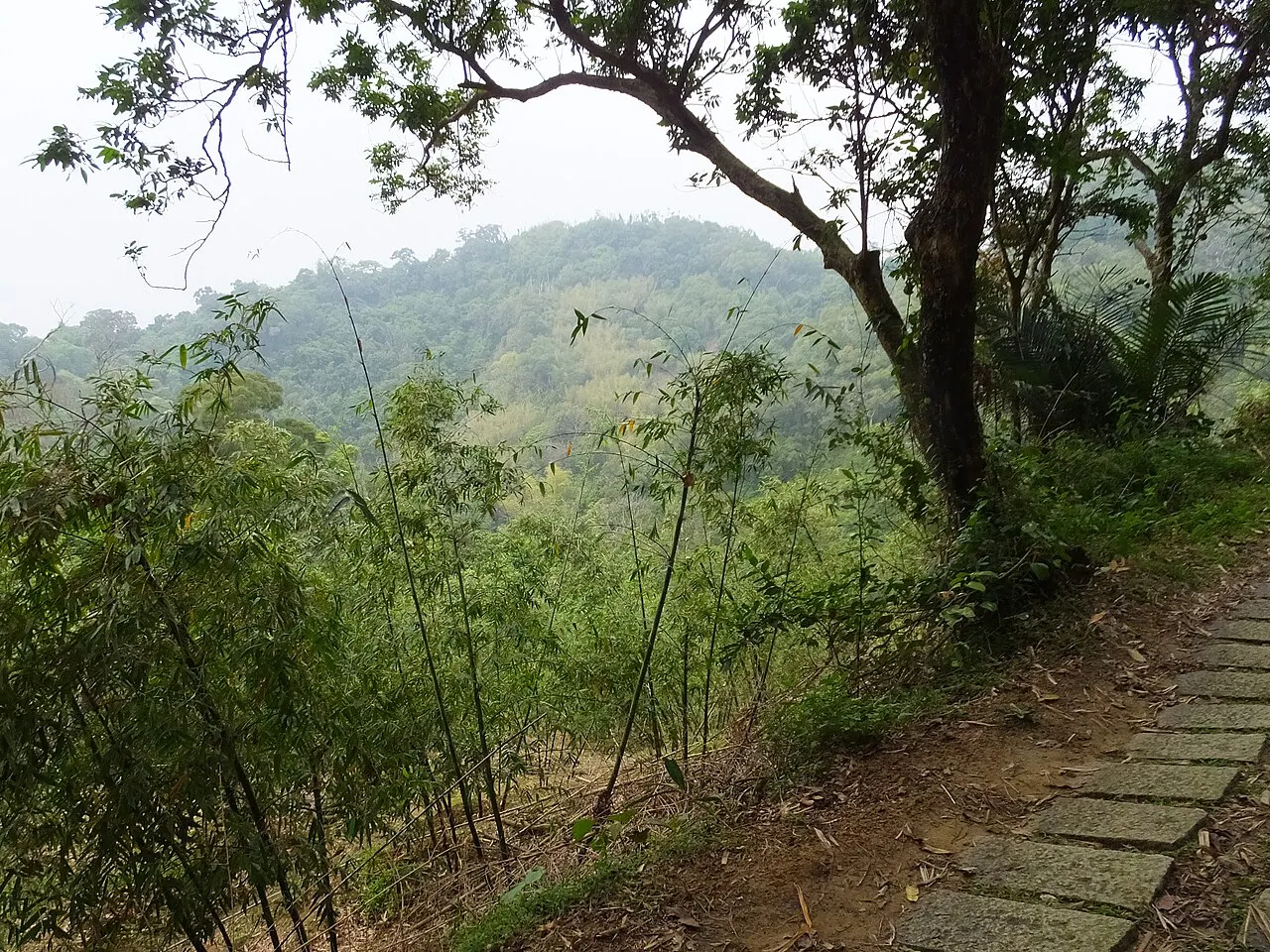 Dakeng Hiking Trails, Taichung, Taiwan