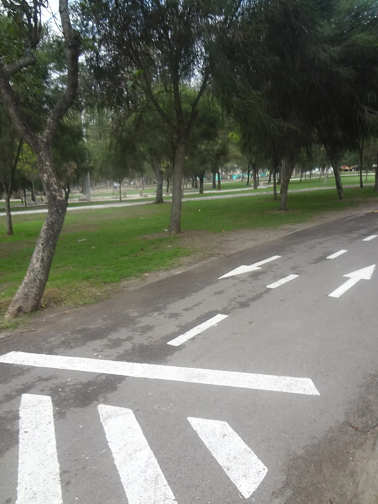 Parque La Carolina, Quito, Pichincha, Ecuador
