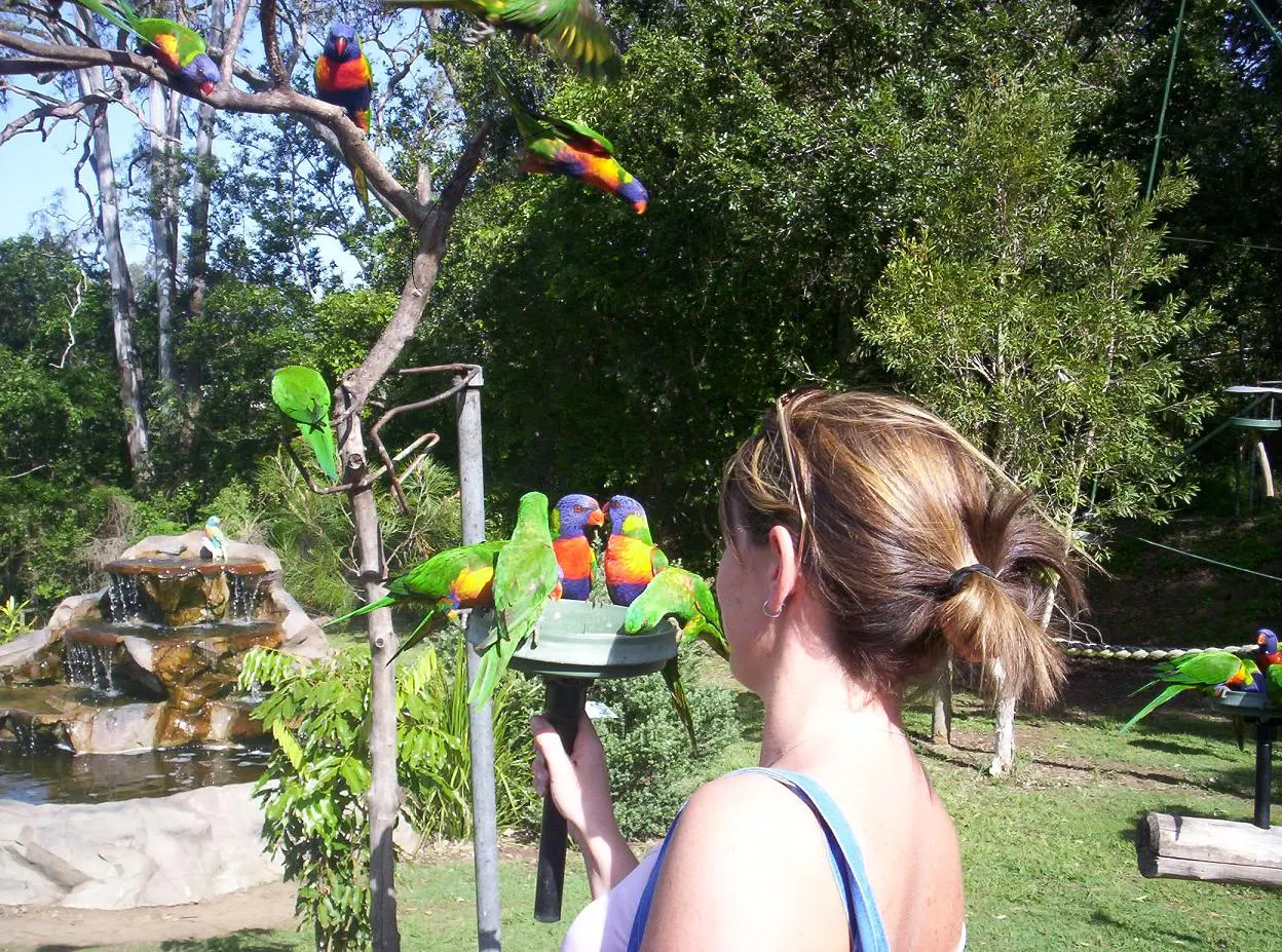 Lone Pine Koala Sanctuary, Brisbane, Queensland, Australia