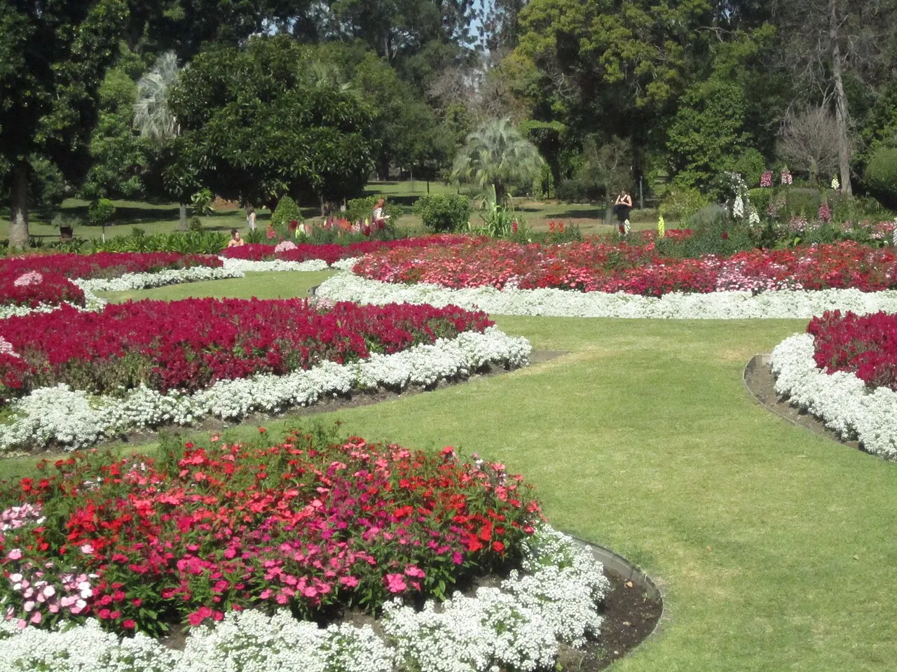 Brisbane City Botanic Gardens, Brisbane, Queensland, Australia
