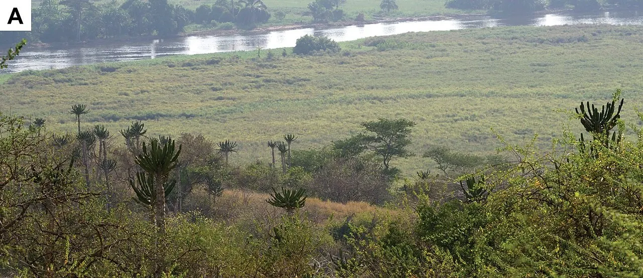 Kissama National Park, Luanda, Luanda, Angola