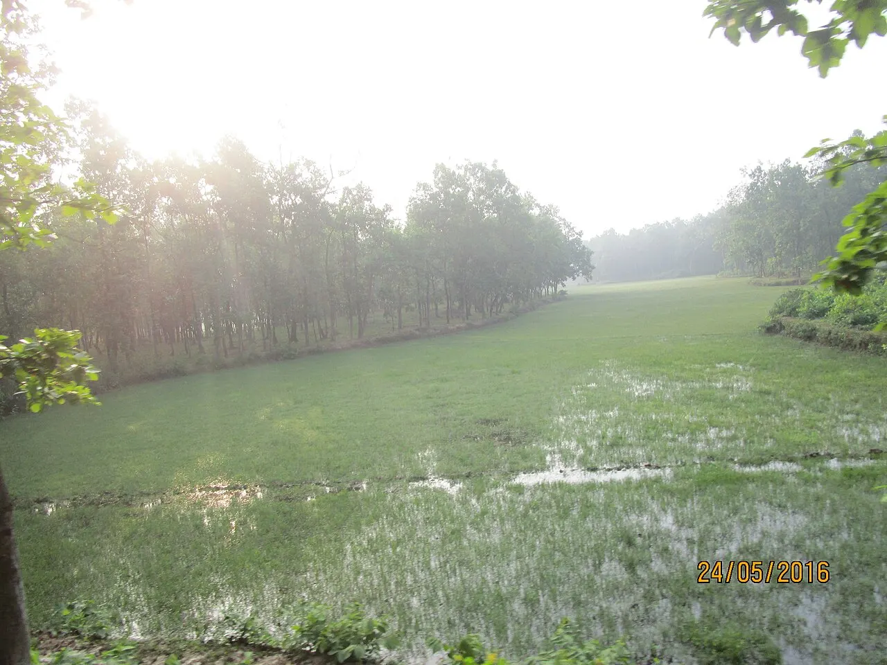 Gazipur, Dhaka Division, Bangladesh