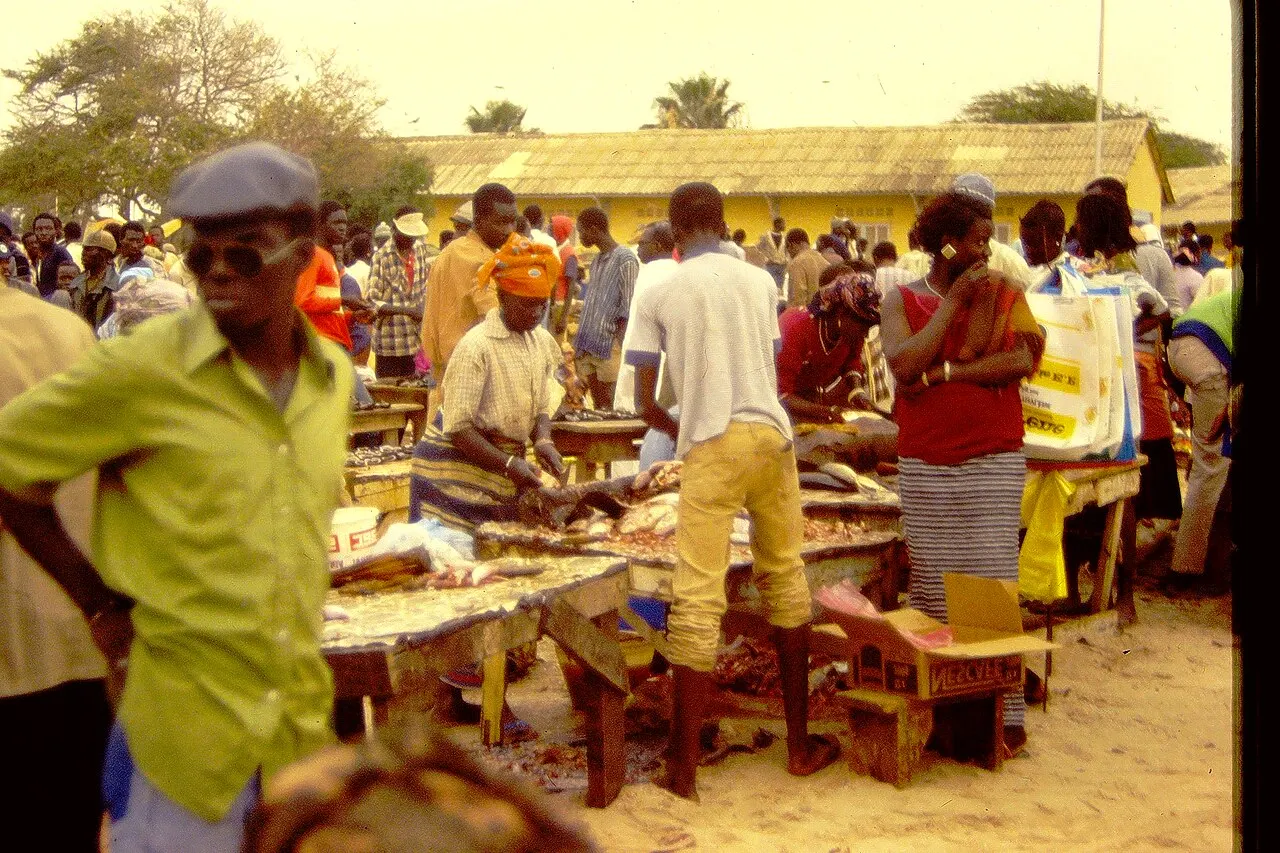 Soumbédioune Fish Market, Dakar, Dakar, Senegal