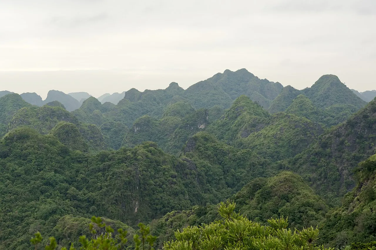 Cat Ba National Park, Haiphong, Hai Phong, Vietnam