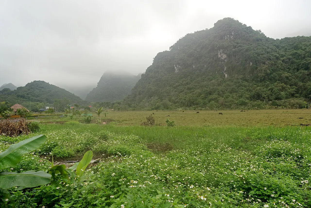 Viet Hai Village (Cat Ba), Haiphong, Hai Phong, Vietnam