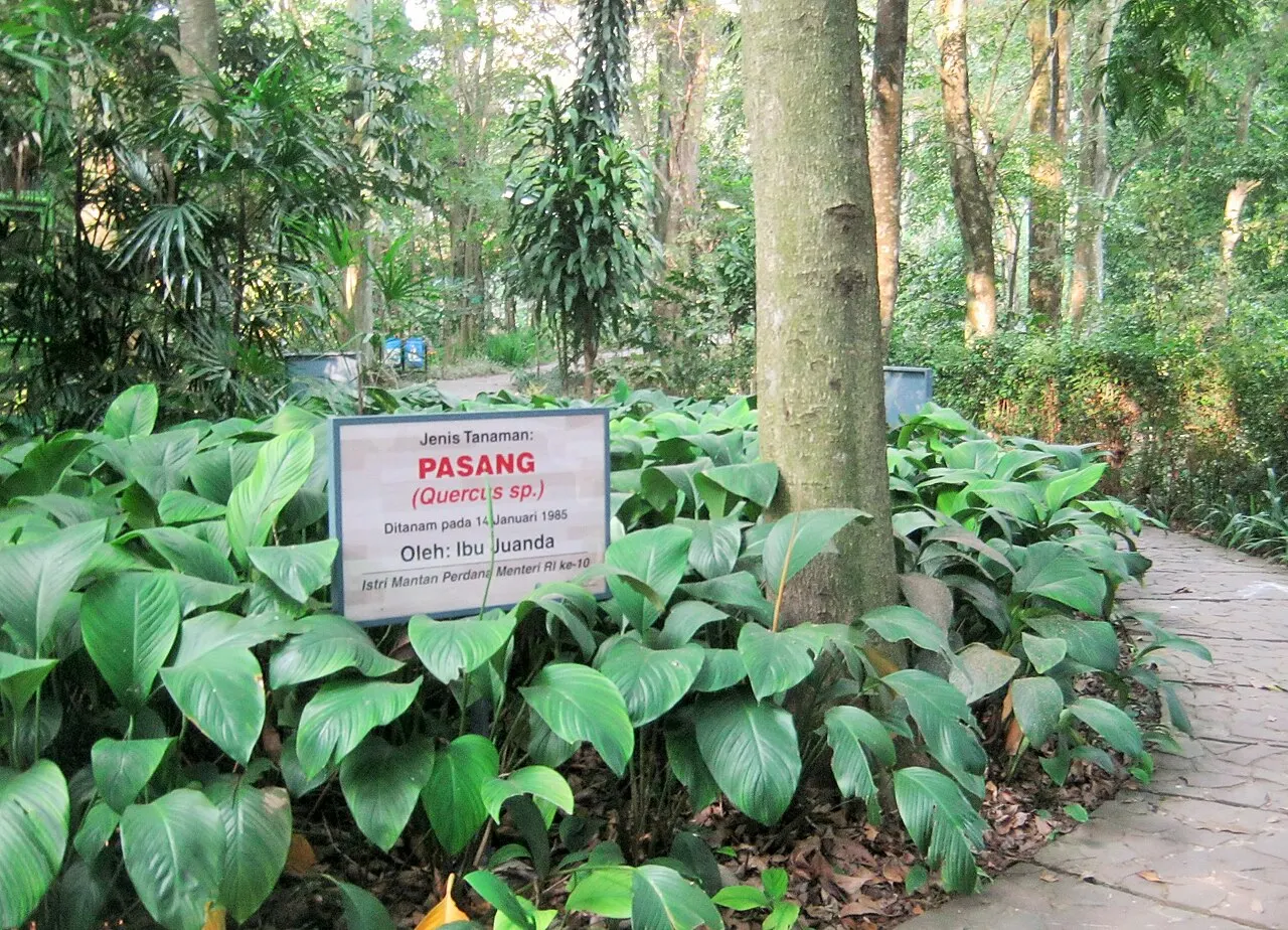 Taman Hutan Raya Ir. H. Djuanda, Bandung, West Java, Indonesia