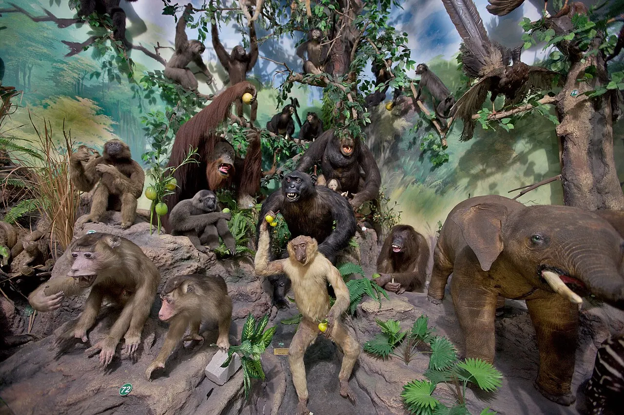 Rahmat International Wildlife Museum, Medan, North Sumatra, Indonesia