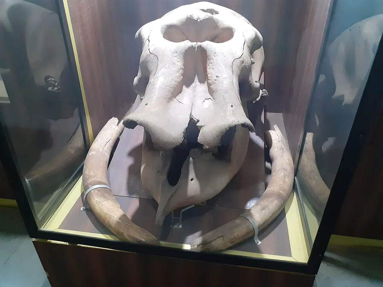 Central Museum Nagpur, Nagpur, Maharashtra, India